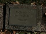image of grave number 965298